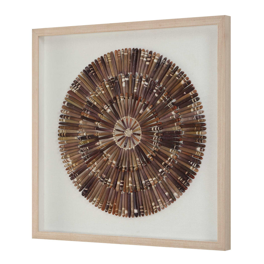 TIGER SEA URCHIN SHADOW BOX
