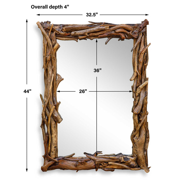 ROOTED DRIFTWOOD MIRROR