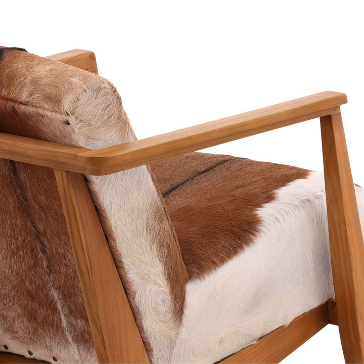 Chair with brown and white cowhide upholstery and wooden frame on a white background