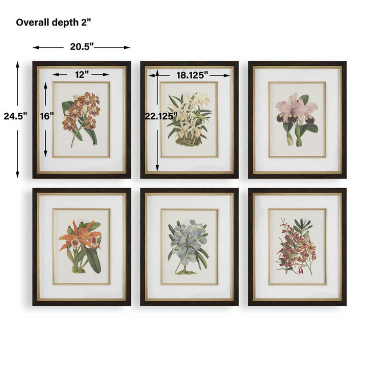 "ORCHID BOTANICAL" GLASS FRAMED GALLERY SET