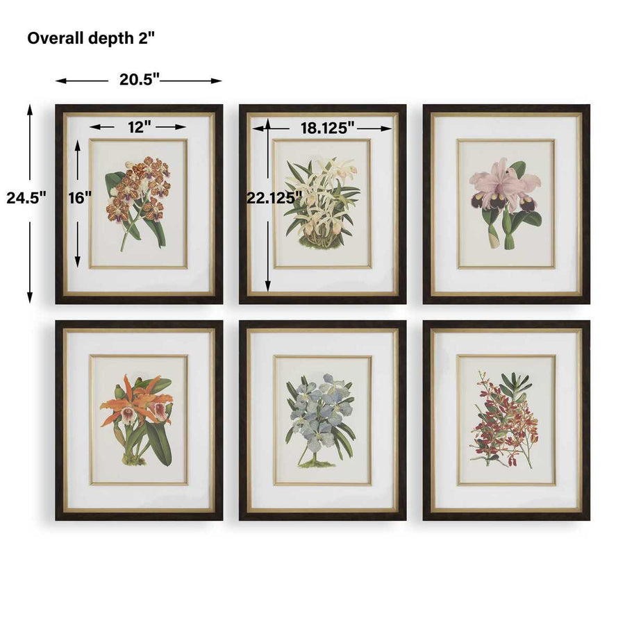 "ORCHID BOTANICAL" GLASS FRAMED GALLERY SET