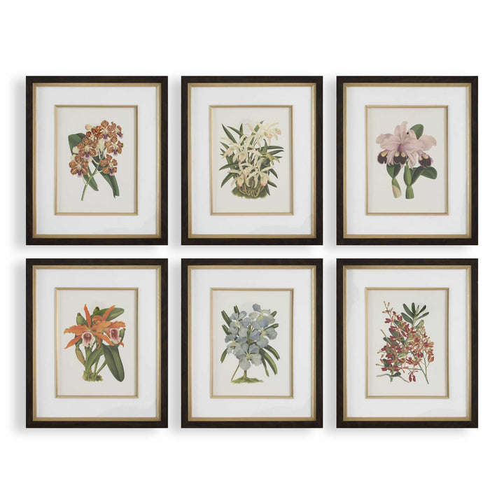 "ORCHID BOTANICAL" GLASS FRAMED GALLERY SET