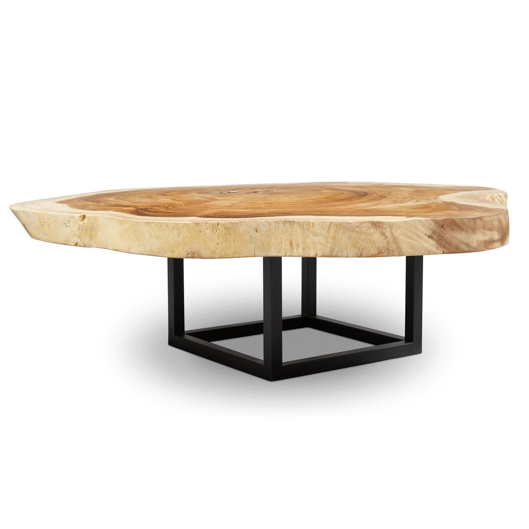 NATURALS SOLID CHAMCHA WOOD AKARA BLACK FRAME COFFEE TABLE