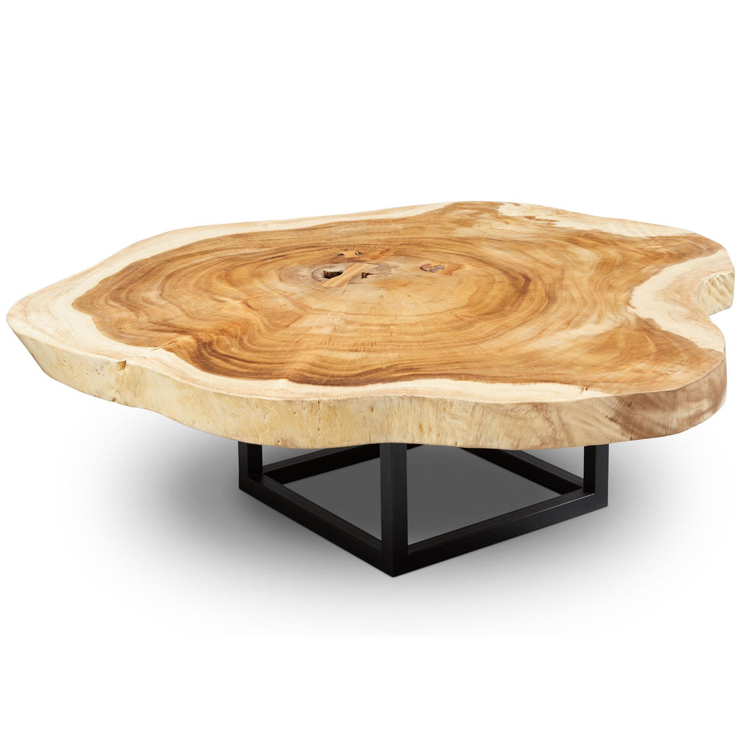 NATURALS SOLID CHAMCHA WOOD AKARA BLACK FRAME COFFEE TABLE - TOP VIEW