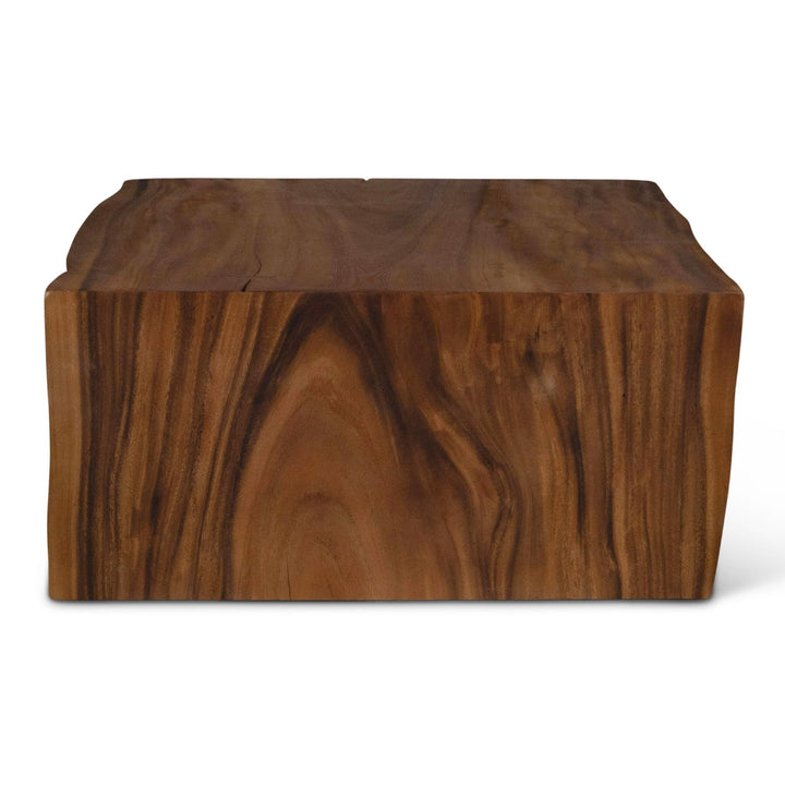 NATURALS SOLID CHAMCHA WOOD CHAKAN COFFEE TABLE - BACK VIEW