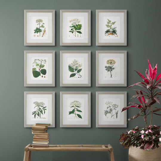 "ANTIQUE BOTANICALS" GLASS FRAMED PRINTS | SET OF 9