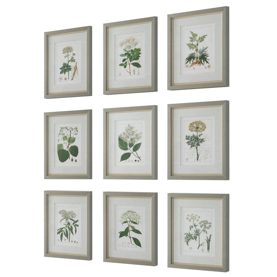 "ANTIQUE BOTANICALS" GLASS FRAMED PRINTS | SET OF 9