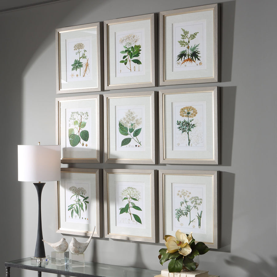 "ANTIQUE BOTANICALS" GLASS FRAMED PRINTS | SET OF 9