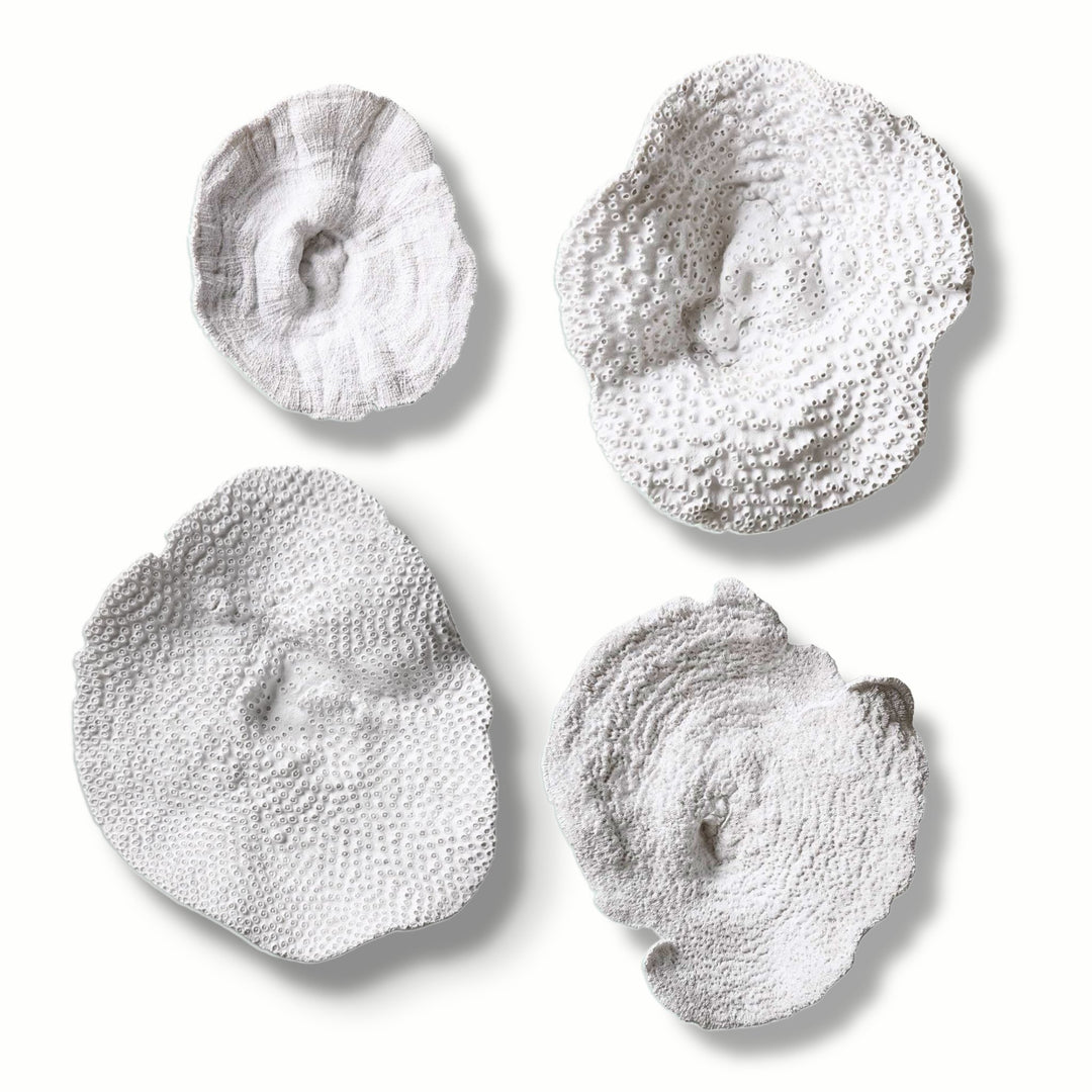 ANTIQUE WHITE SEA CORAL | SET OF 4