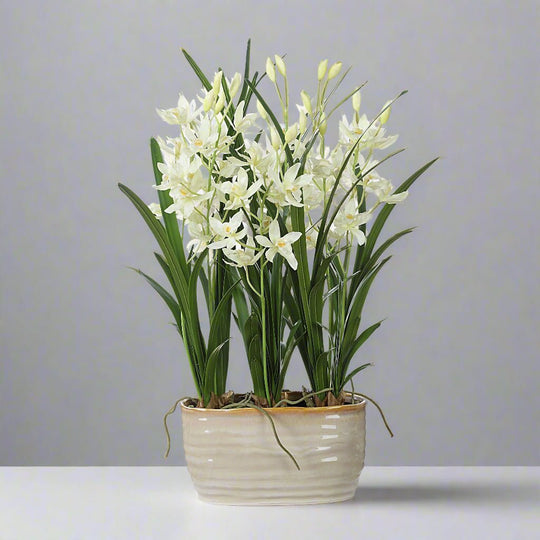 ariana plant pots Uttermost 60227 Ariana Orchid Planter