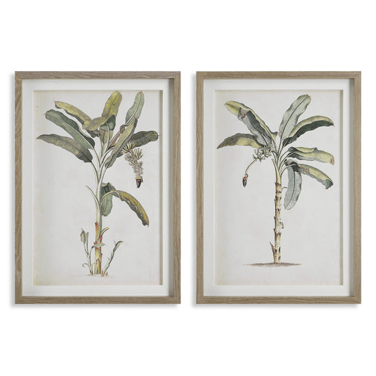 "BANANA PALM" FRAMED PRINTS | SET OF 2