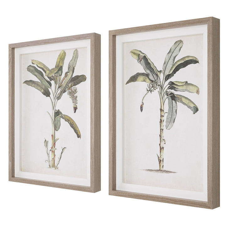 "BANANA PALM" FRAMED PRINTS | SET OF 2