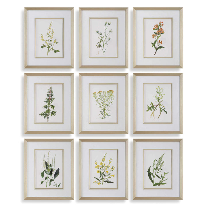 "BOTANICAL FLOWERS" GLASS FRAMED PRINTS | SET OF 9