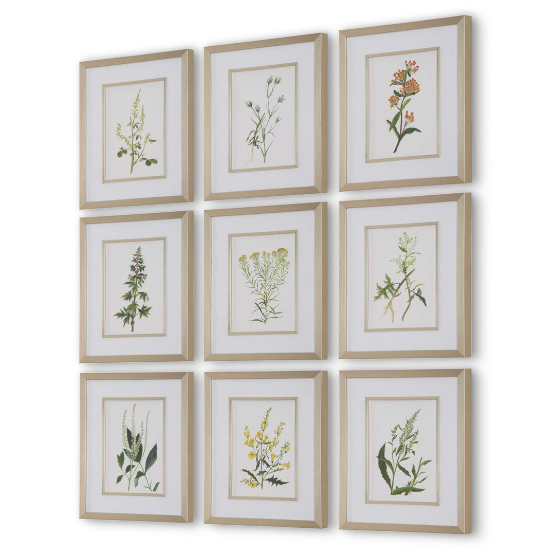 "BOTANICAL FLOWERS" GLASS FRAMED PRINTS | SET OF 9