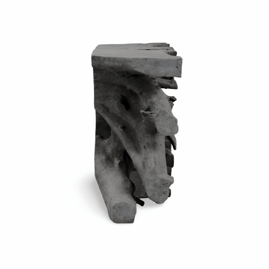 CHARCOAL STONE CAST ROOT CONSOLE