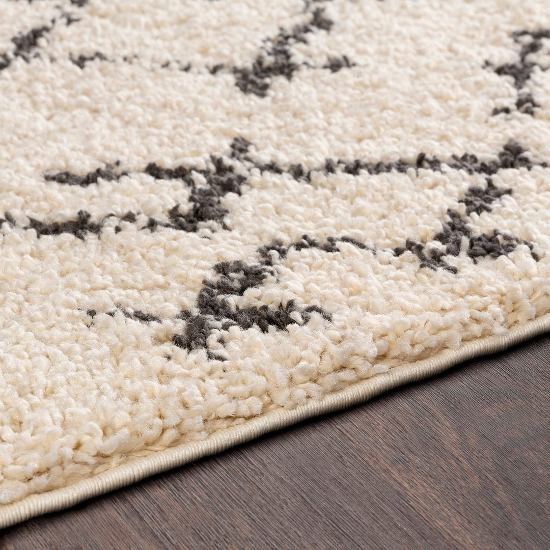 CHAYA BERBER SHAG RUG