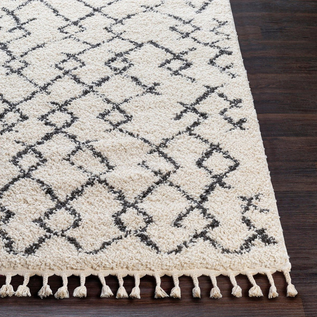 CHAYA BERBER SHAG RUG