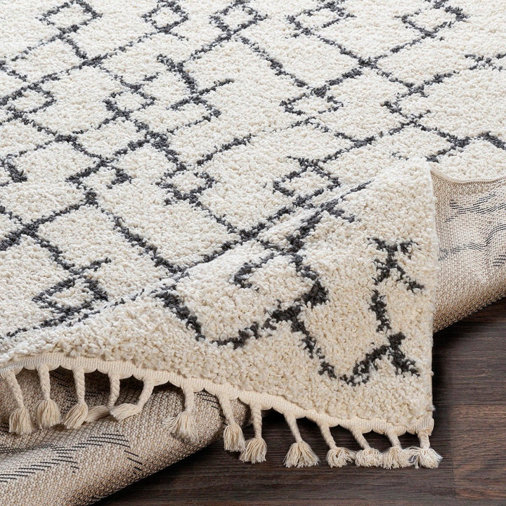 CHAYA BERBER SHAG RUG