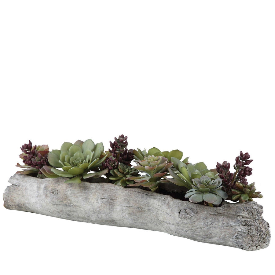 DRIFTWOOD LOG SUCCULENT CENTERPIECE