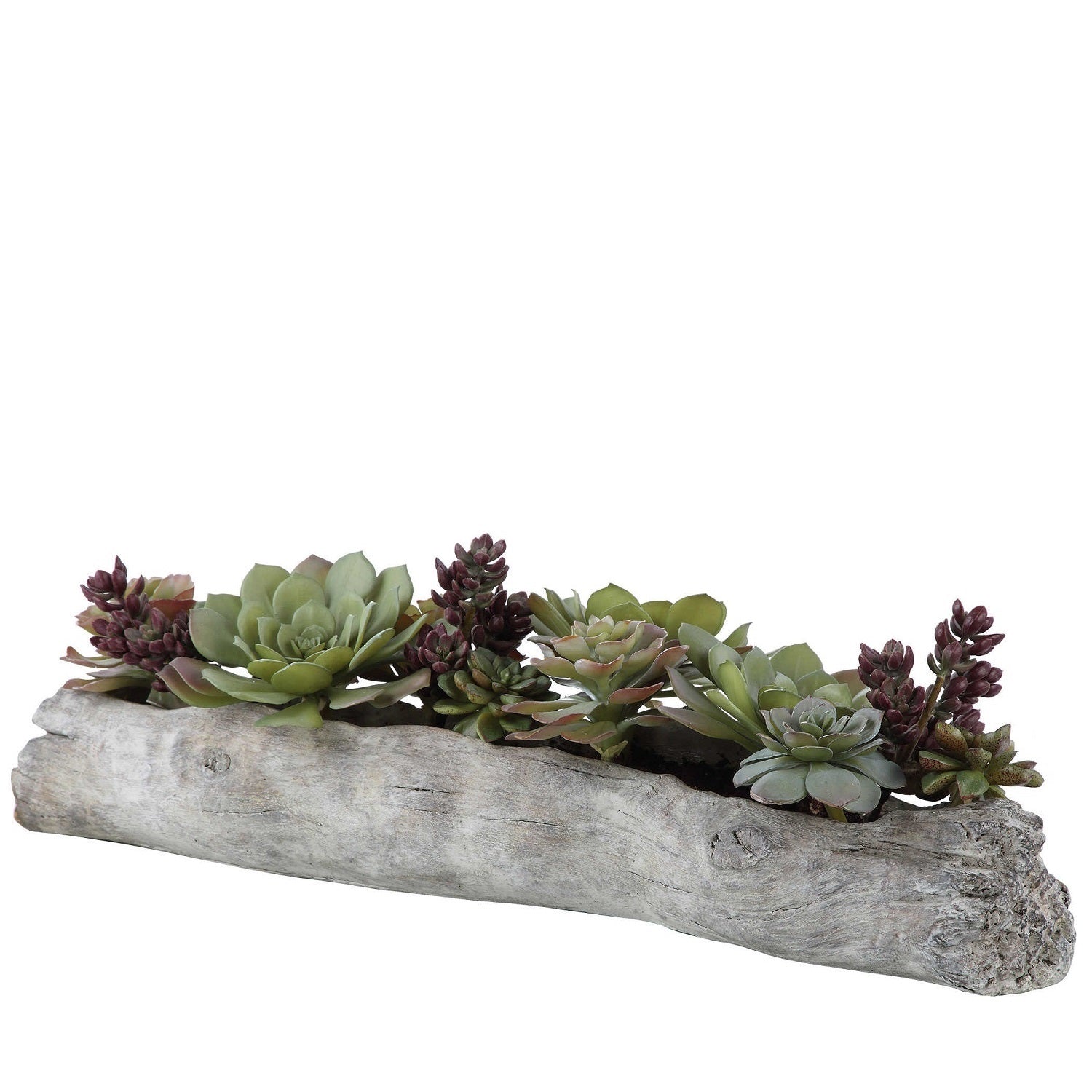succulents in log planter DRIFTWOOD LOG SUCCULENT CENTERPIECE – ShopDesignTap