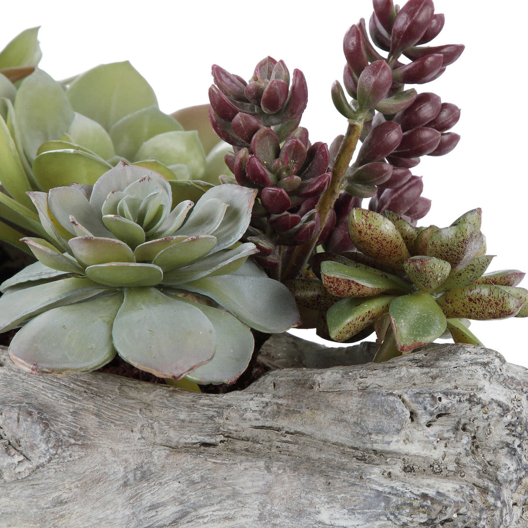 DRIFTWOOD LOG SUCCULENT CENTERPIECE