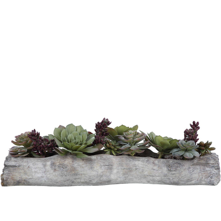 DRIFTWOOD LOG SUCCULENT CENTERPIECE