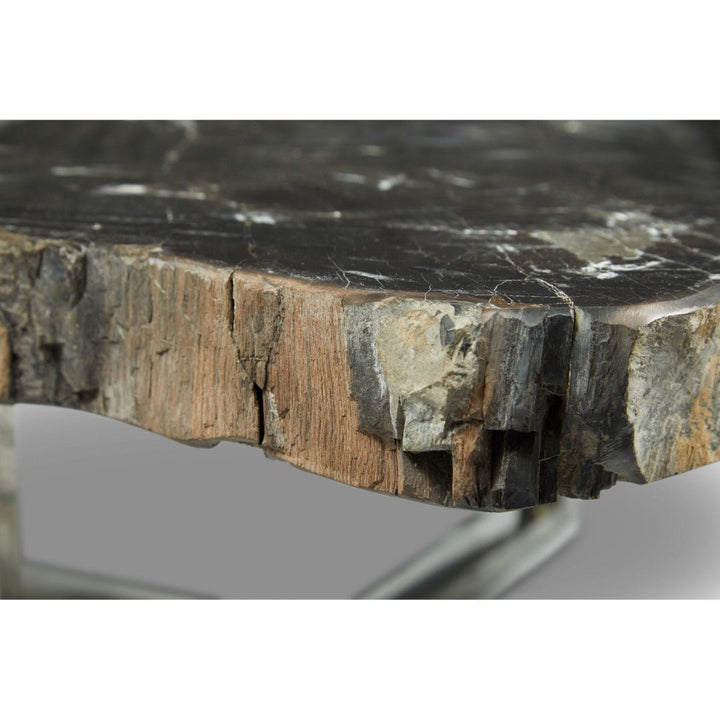 ELIZA PETRIFIED WOOD COFFEE TABLE: DARK