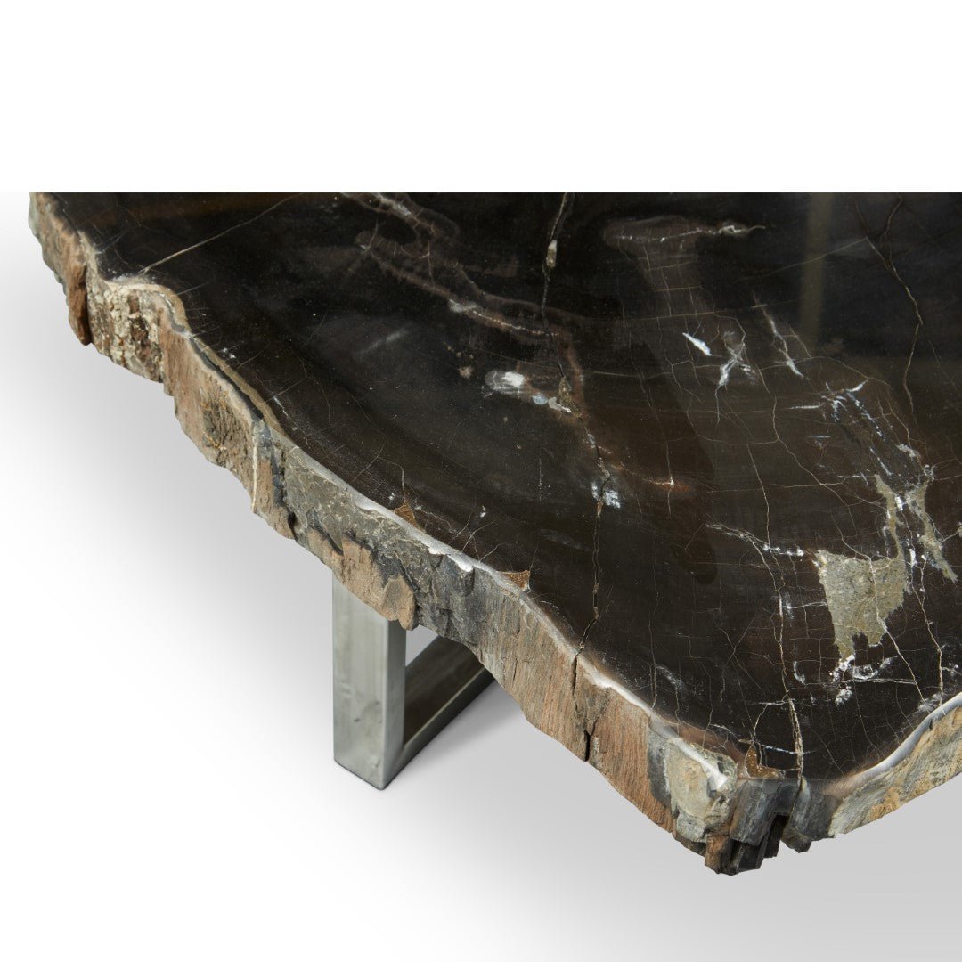 ELIZA PETRIFIED WOOD COFFEE TABLE: DARK