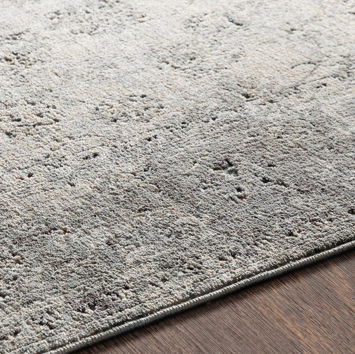 ERYNN RUG: SILVER, STONE, MULTI