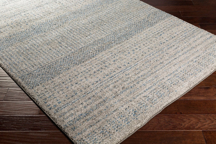 AKALI MESA RUG: DENIM, GRAY