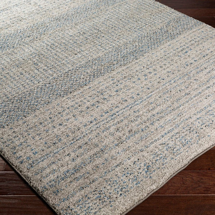 AKALI MESA RUG: DENIM, GRAY