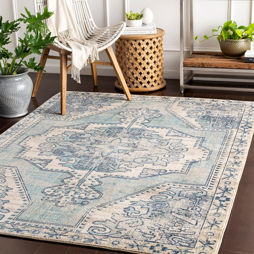 KINNARA DISTRESSED RUG: BLUE