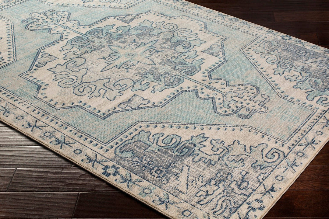 KINNARA DISTRESSED RUG: BLUE