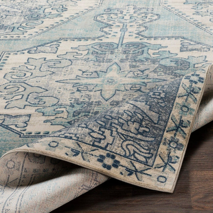 KINNARA DISTRESSED RUG: BLUE