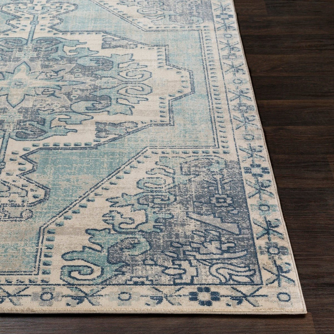 KINNARA DISTRESSED RUG: BLUE