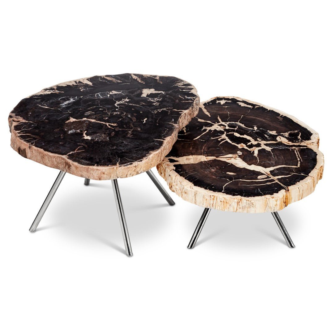 LASTRA PETRIFIED WOOD NESTING COFFEE TABLES: DARK