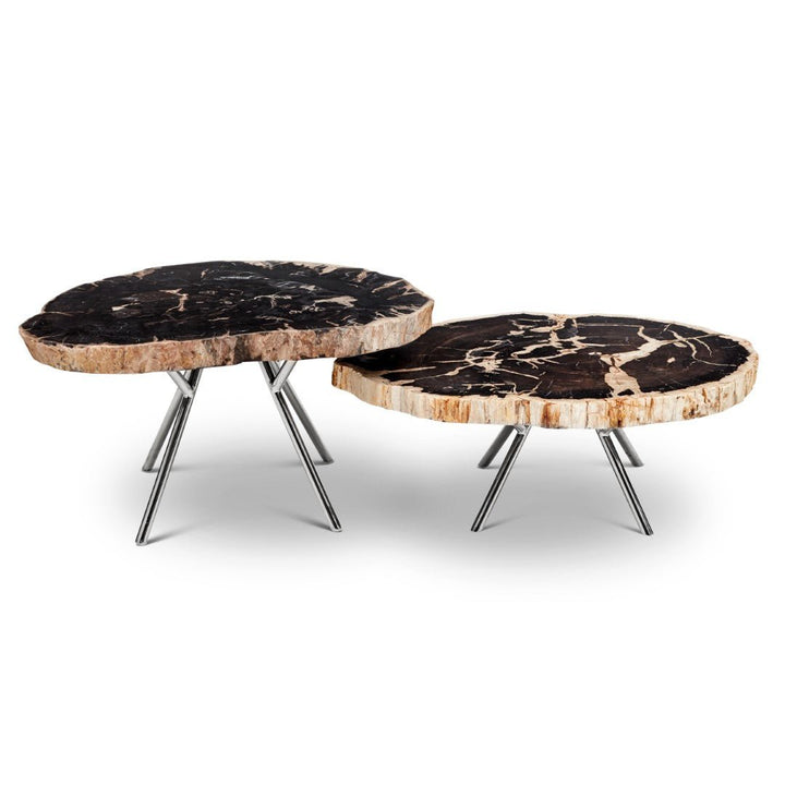 LASTRA PETRIFIED WOOD NESTING COFFEE TABLES: DARK