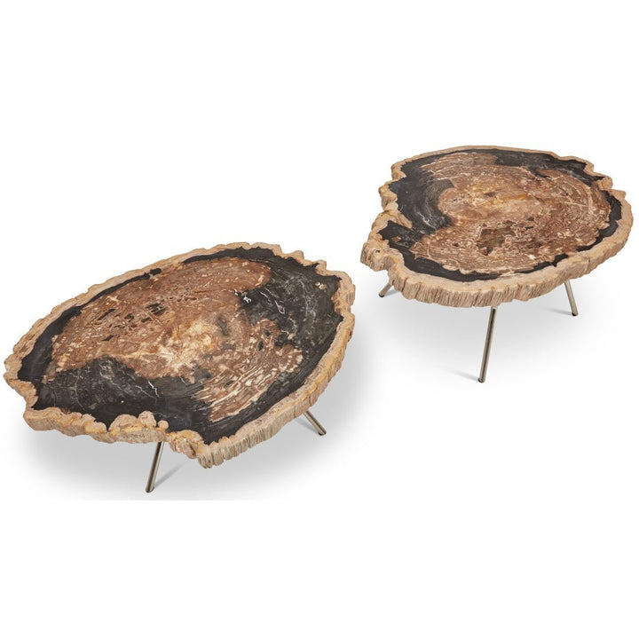 LASTRA PETRIFIED WOOD NESTING COFFEE TABLES: DARK