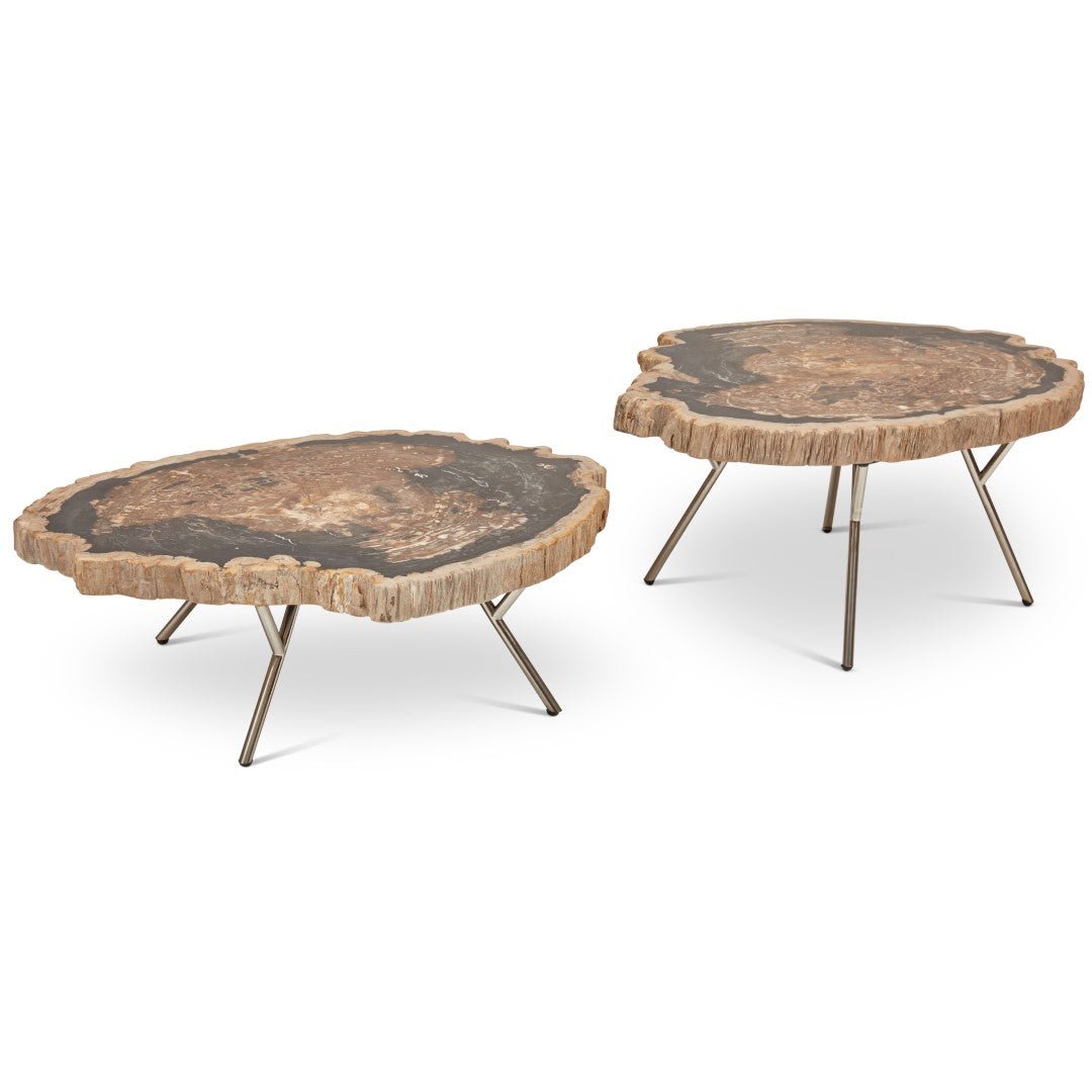 LASTRA PETRIFIED WOOD NESTING COFFEE TABLES: DARK