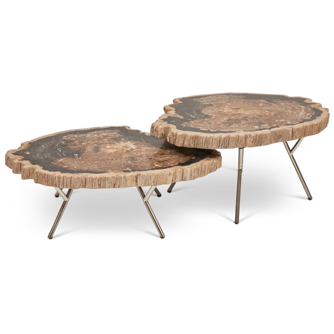 LASTRA PETRIFIED WOOD NESTING COFFEE TABLES: DARK