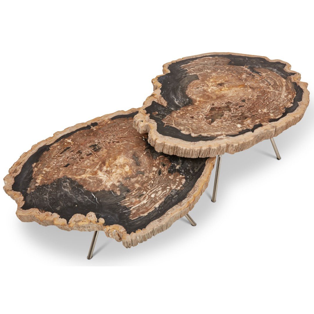 LASTRA PETRIFIED WOOD NESTING COFFEE TABLES: DARK