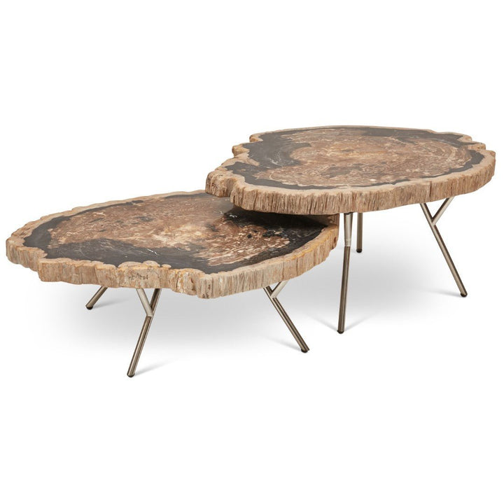 LASTRA PETRIFIED WOOD NESTING COFFEE TABLES: DARK