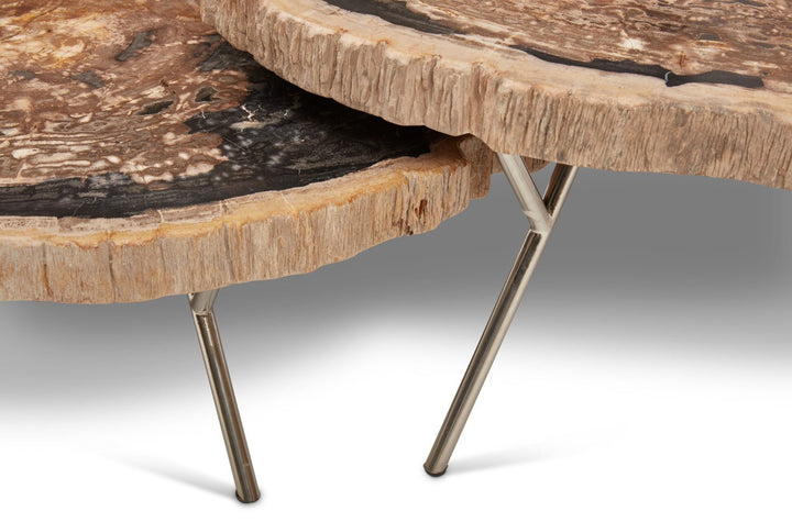 LASTRA PETRIFIED WOOD NESTING COFFEE TABLES: DARK