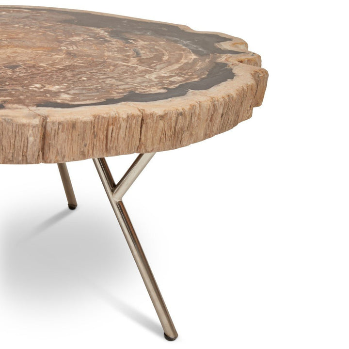 LASTRA PETRIFIED WOOD NESTING COFFEE TABLES: DARK