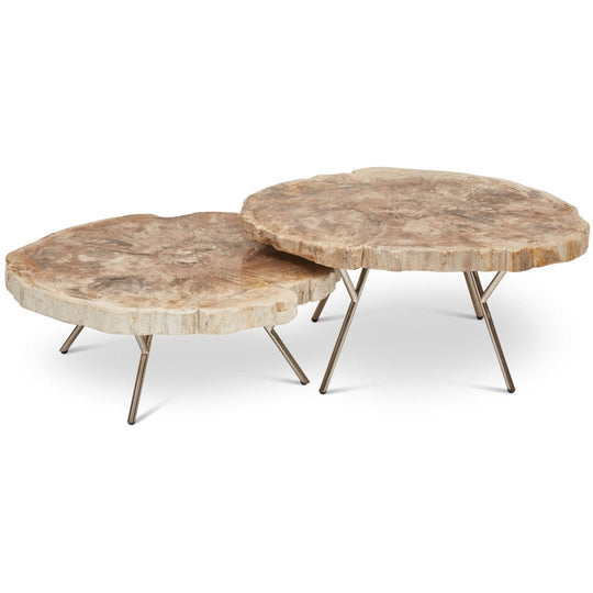 LASTRA PETRIFIED WOOD NESTING COFFEE TABLES: LIGHT