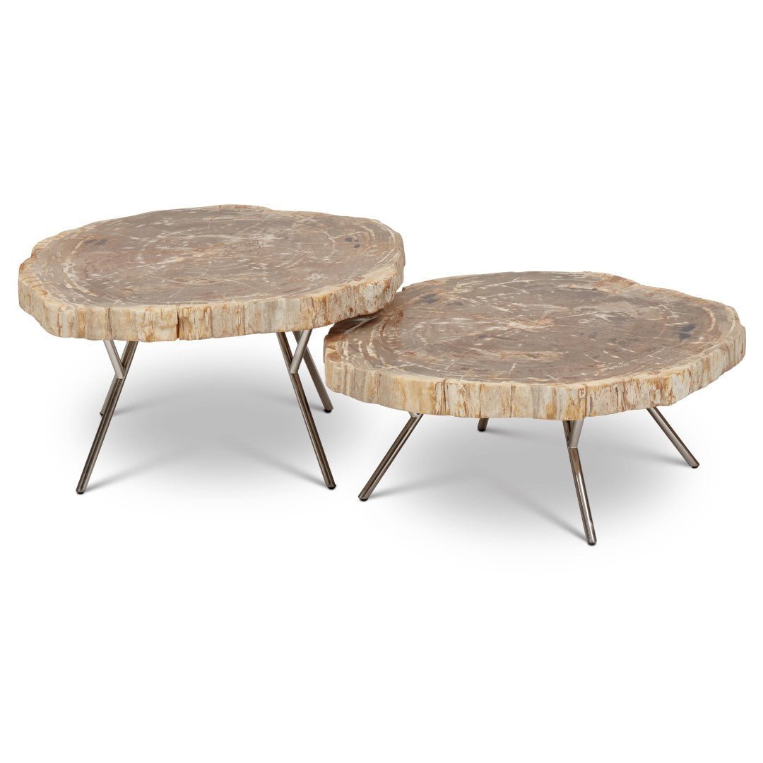 LASTRA PETRIFIED WOOD NESTING COFFEE TABLES: LIGHT