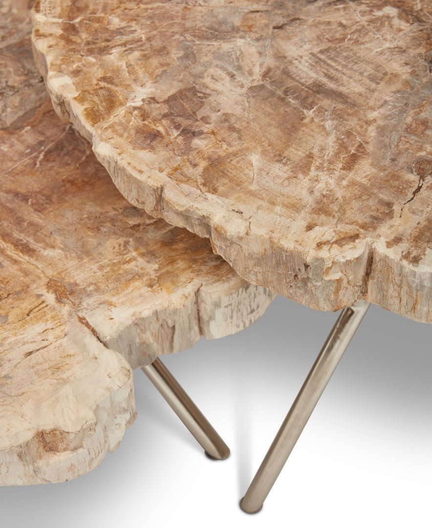 LASTRA PETRIFIED WOOD NESTING COFFEE TABLES: LIGHT