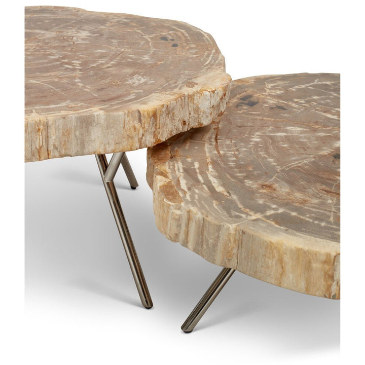 LASTRA PETRIFIED WOOD NESTING COFFEE TABLES: LIGHT