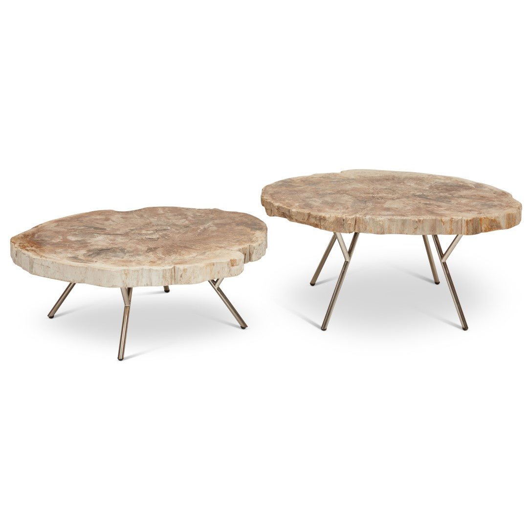 LASTRA PETRIFIED WOOD NESTING COFFEE TABLES: LIGHT