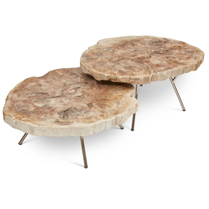 LASTRA PETRIFIED WOOD NESTING COFFEE TABLES: LIGHT